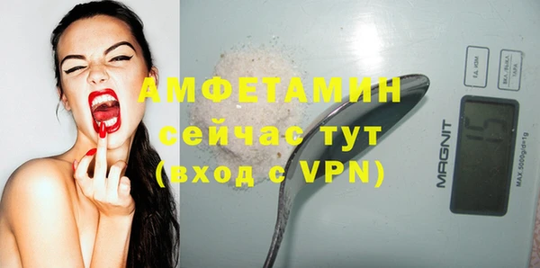 Альфа ПВП Няндома