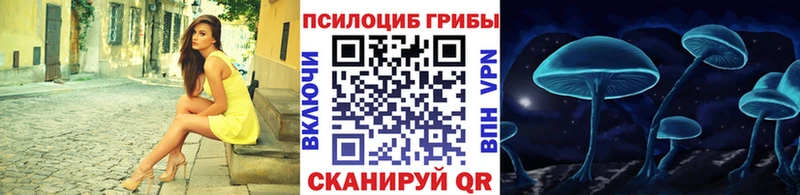 как найти   Белоусово  mega зеркало  Галлюциногенные грибы Psilocybine cubensis 